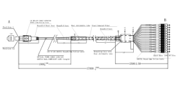 Hydra Cable Diagram
